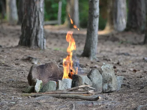talgulõuna