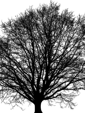 Tõrvaahjule kaane panek
