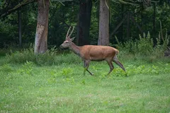 IMG_2380